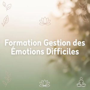 Formation Gestion des Émotions Difficiles