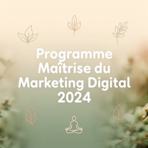 Programme Maîtrise du Marketing Digital 2024